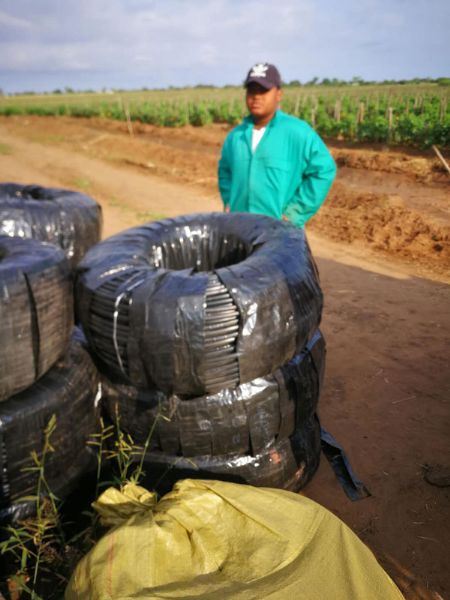 產(chǎn)品熱銷(xiāo)海內(nèi)外，質(zhì)量放心客戶(hù)滿(mǎn)意